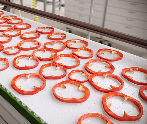 1010 Series KleanTop Plastic Modular Belt